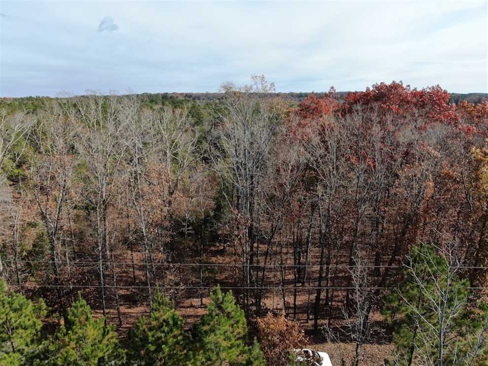 Timberland real estate available to buy