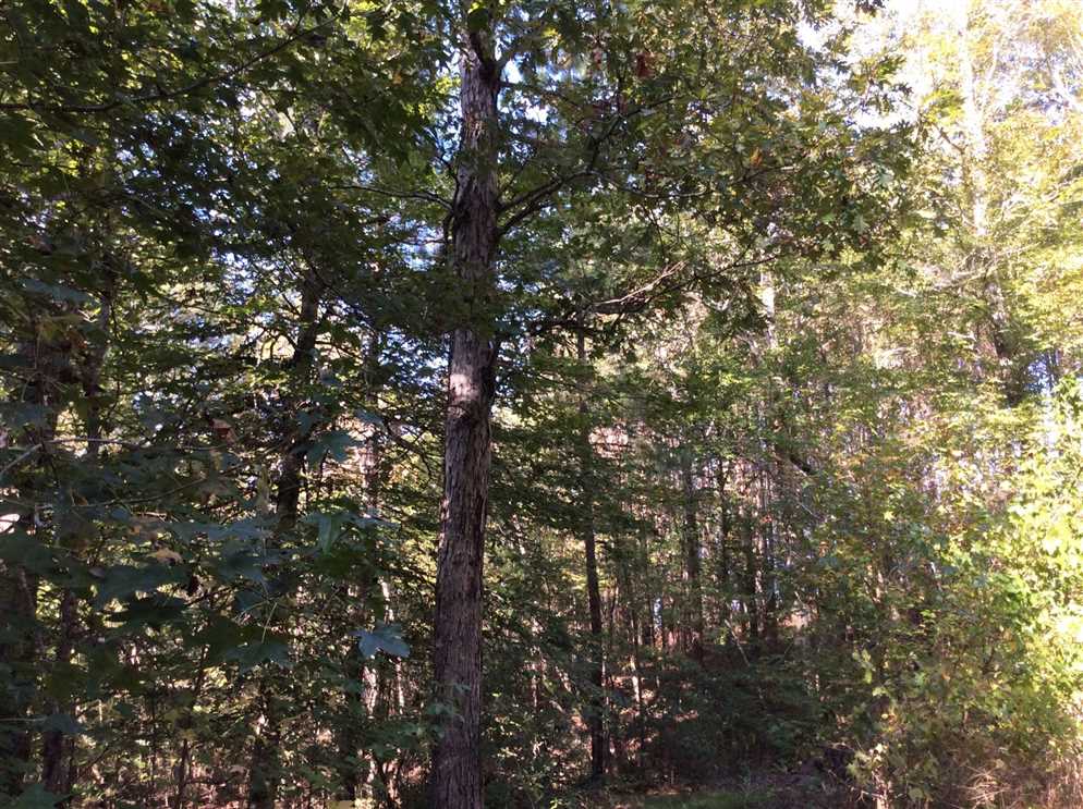 236 Acres of Land for sale in caldwell County, Louisiana