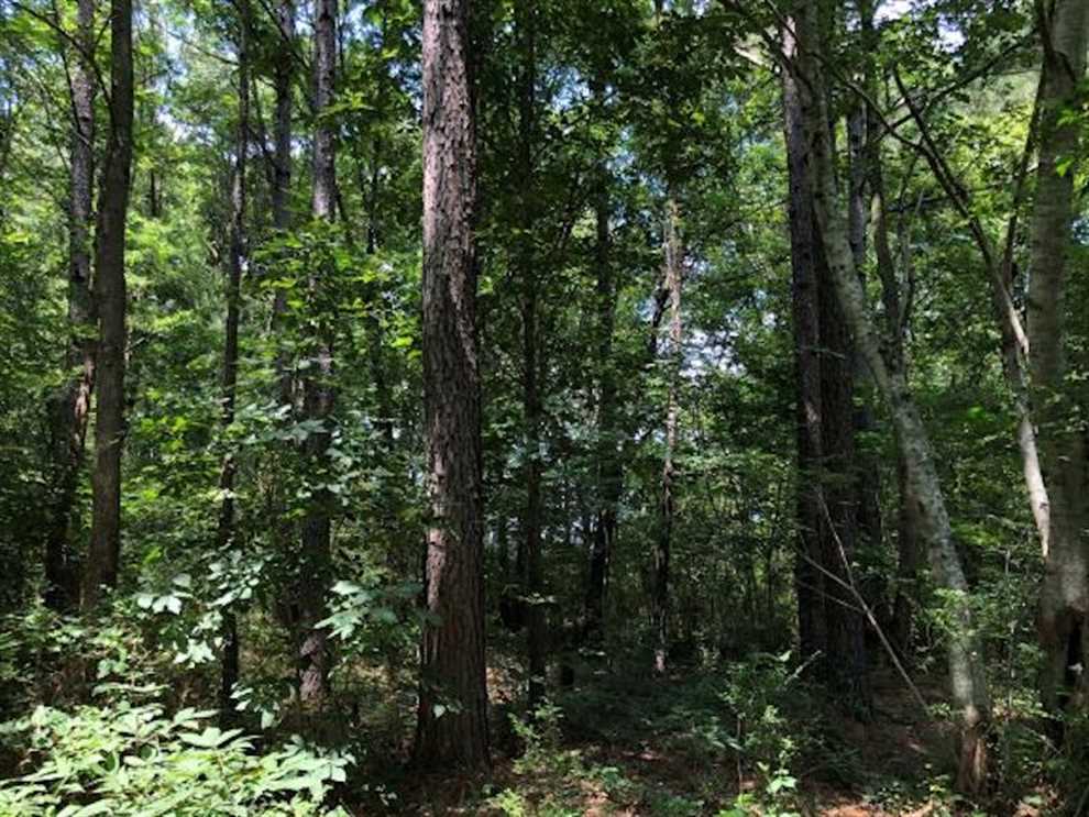 53 Acres of Land for sale in chatham County, North Carolina