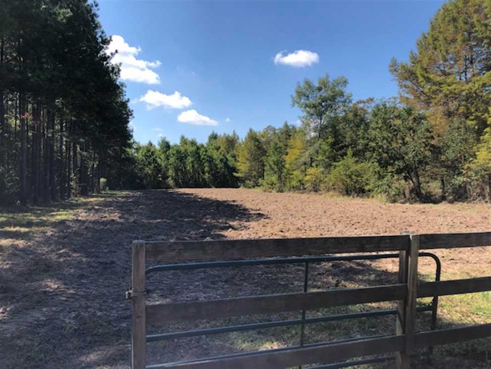 147 Acres of Land for Sale in leake County, Mississippi