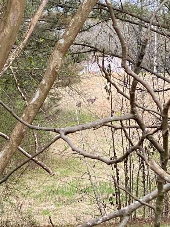 Land for sale at Rd 41
