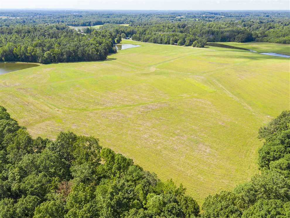 10.01 Acres of Land for sale in alamance County, North Carolina