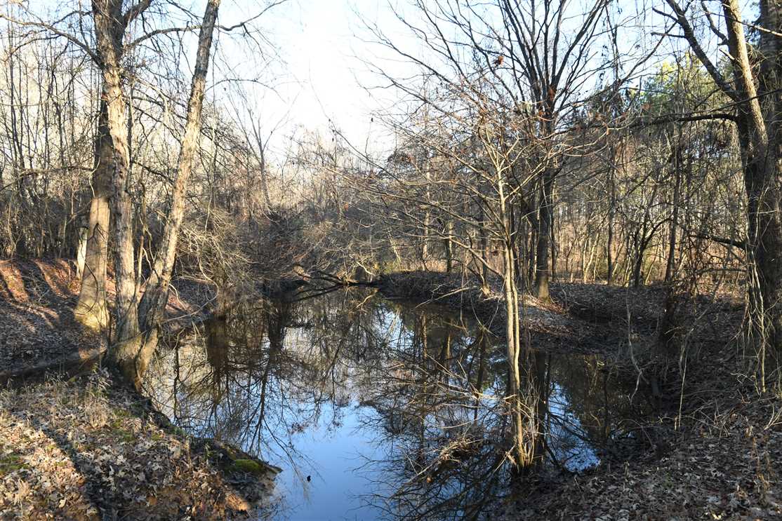 365 Acres of Recreational land for sale in Ward, lonoke County, Arkansas