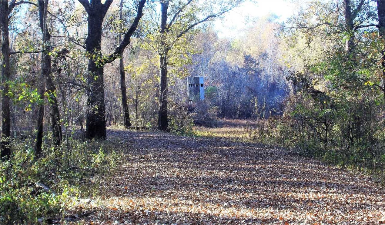 1 Palmetto Hunting Club - One Equity Ownership, Bossier Parish, 1,640 Acres +/- Real estate listing