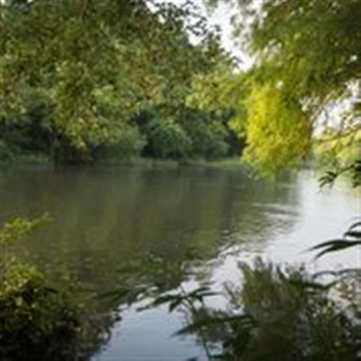 Property for sale at 1000 Wild Goose Lanne