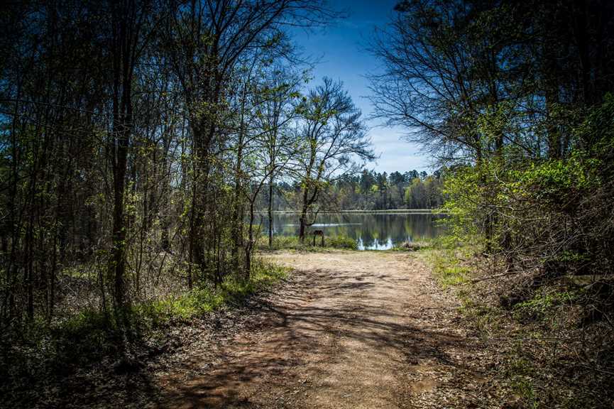Residential and   property for sale on The Land Market