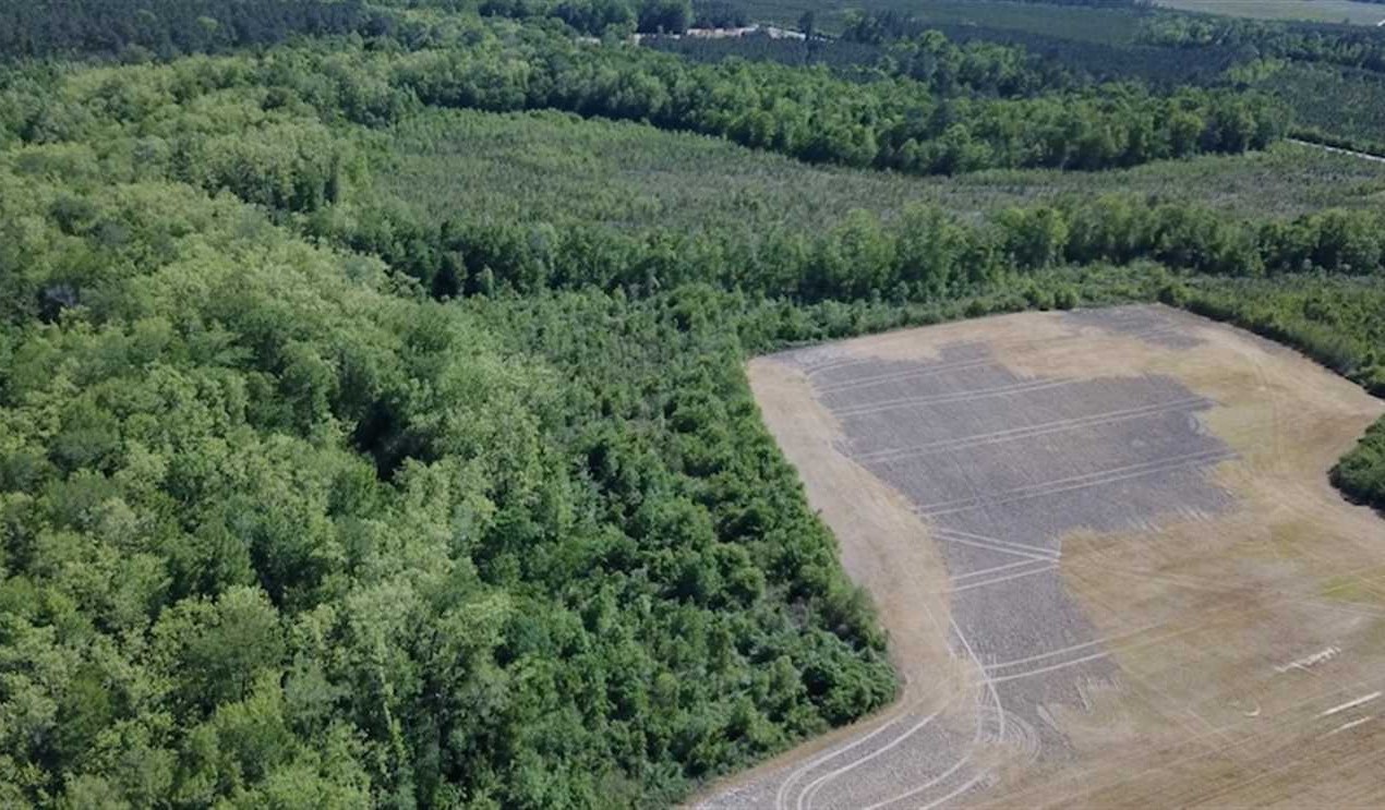 47 Acres of Residential land for sale in Suffolk, suffolk city County, Virginia