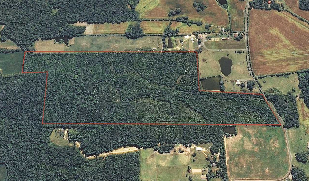 73 Acres of Land for Sale in yadkin County, North Carolina