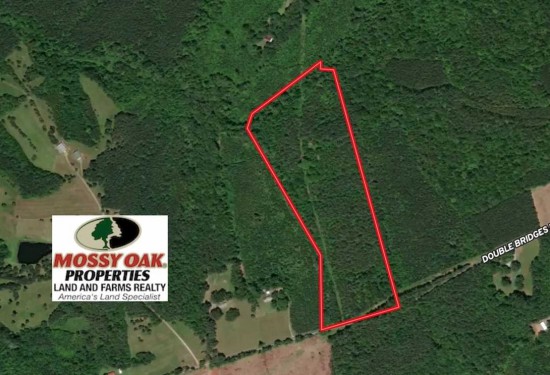 29 Acres of Land for Sale in lunenburg County Virginia