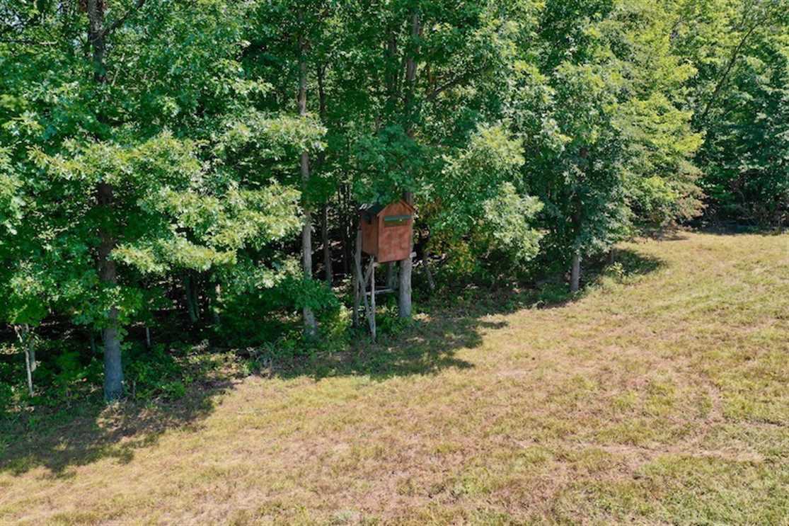 148 Acres of Hunting and Recreational Land for Sale in Botetourt County VA! Real estate listing