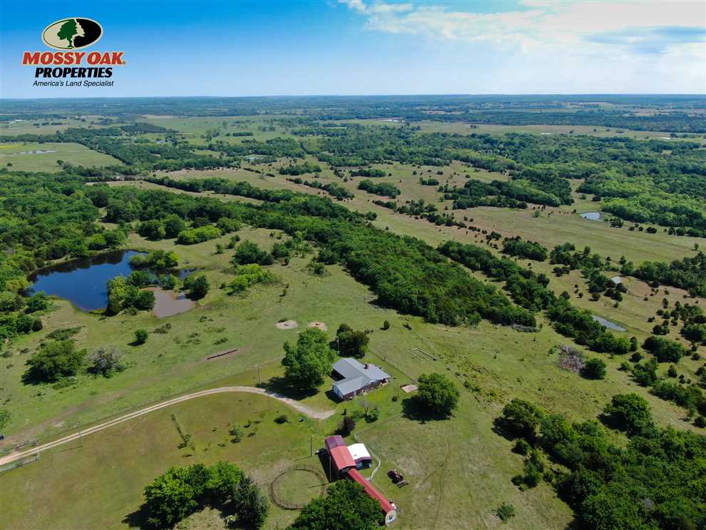 Farmland real estate available to buy