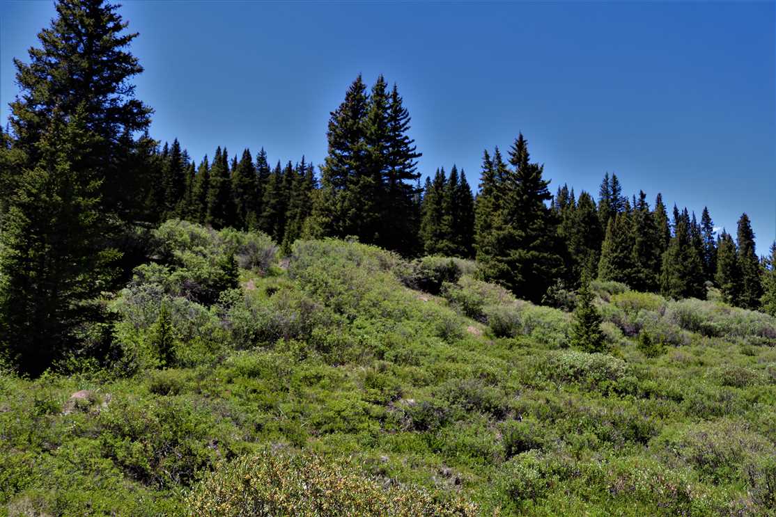 48 Acres of Land for sale in park County, Colorado