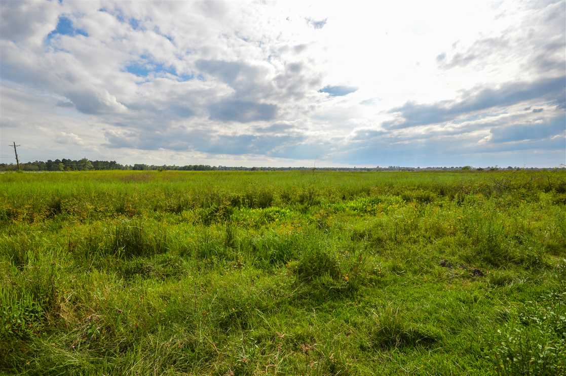 Property for sale at