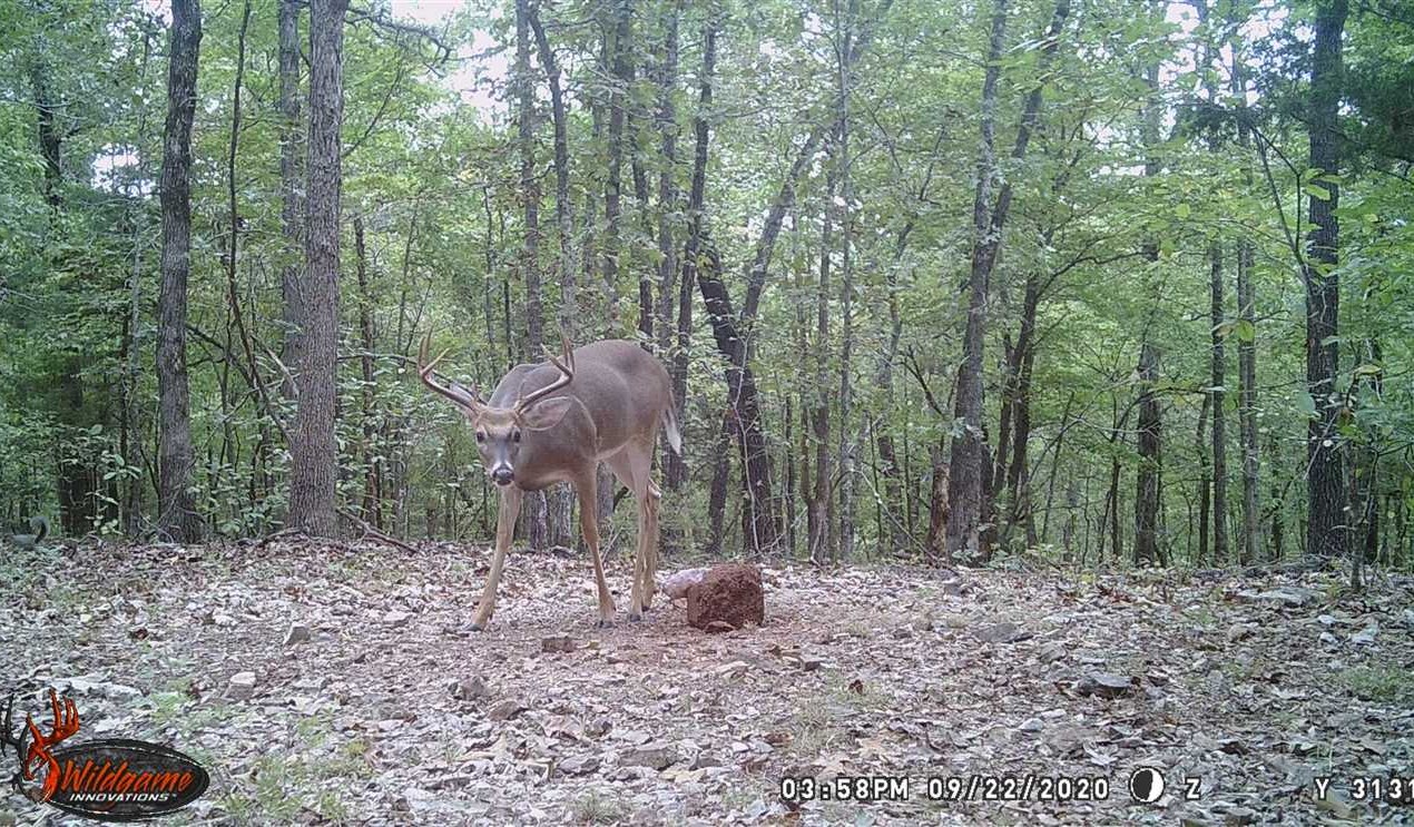 Houses and land for sale in Arkansas