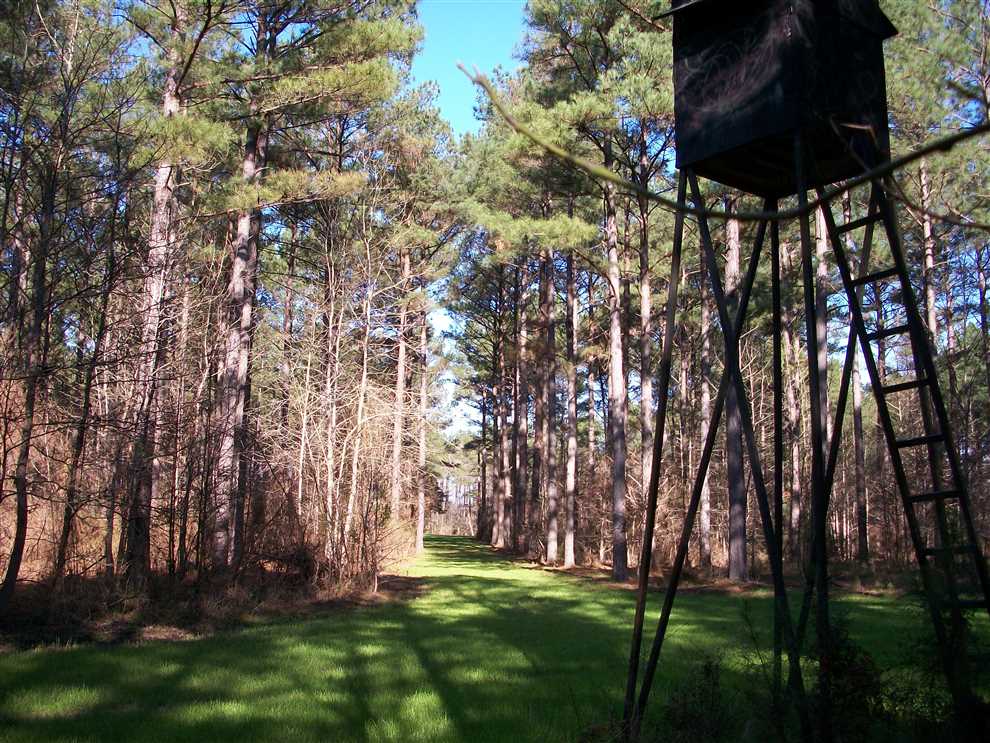 Land for sale at