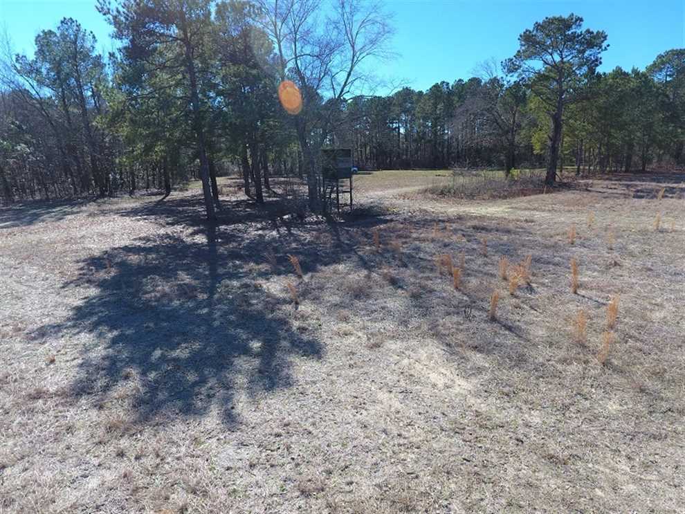Property for sale at Mill Branch Rd.