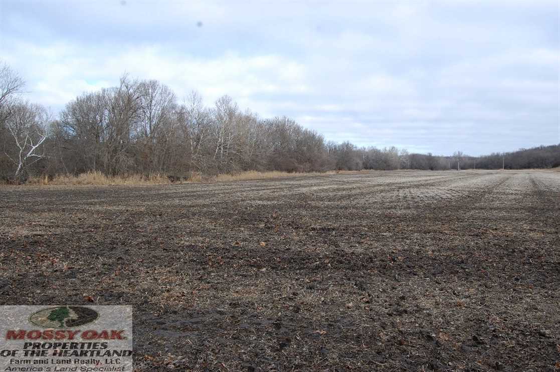 231 Acres of Recreational land for sale in Elk City, chautauqua County, Kansas
