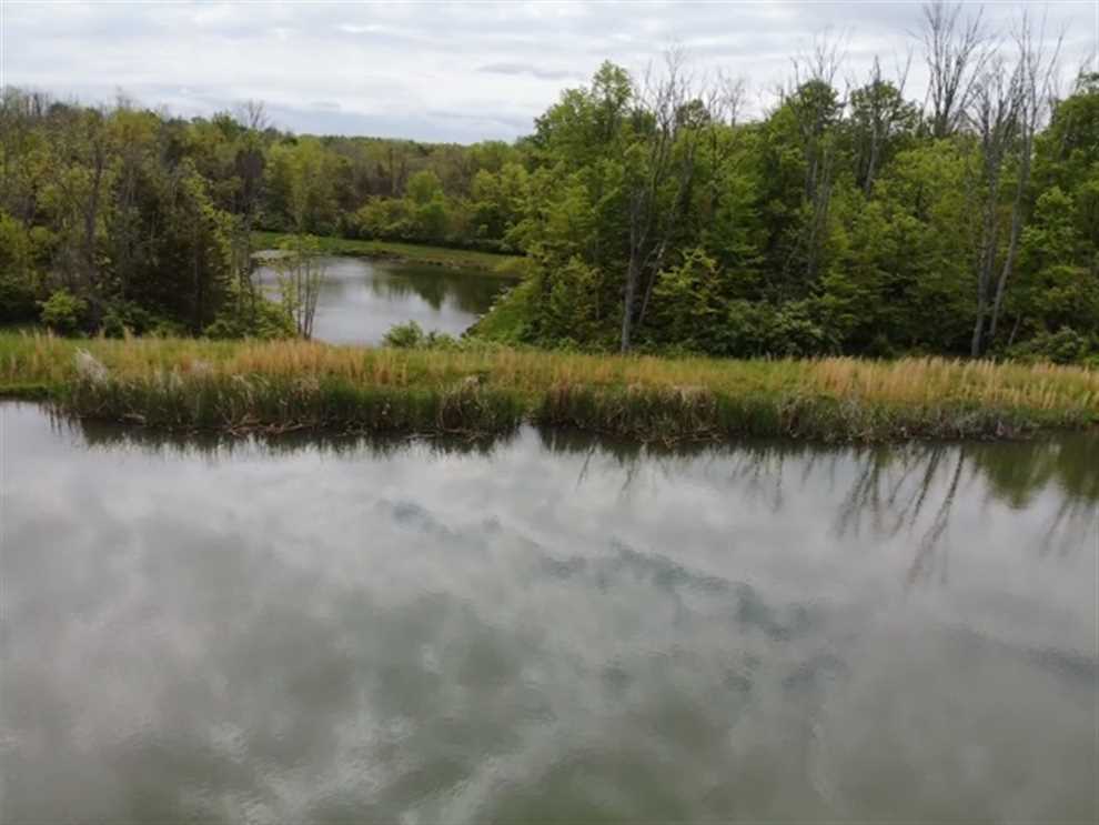 141 Acres of Land for Sale in ohio County, Indiana