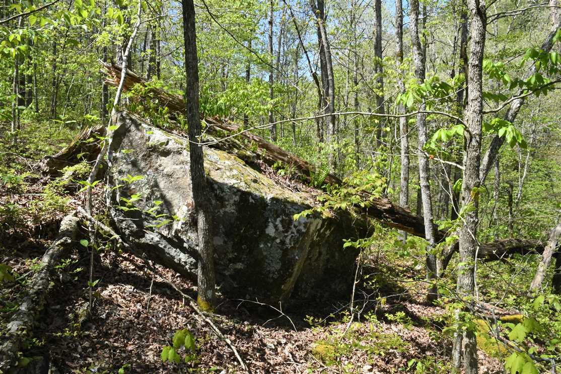 Recreational and   property for sale on The Land Market