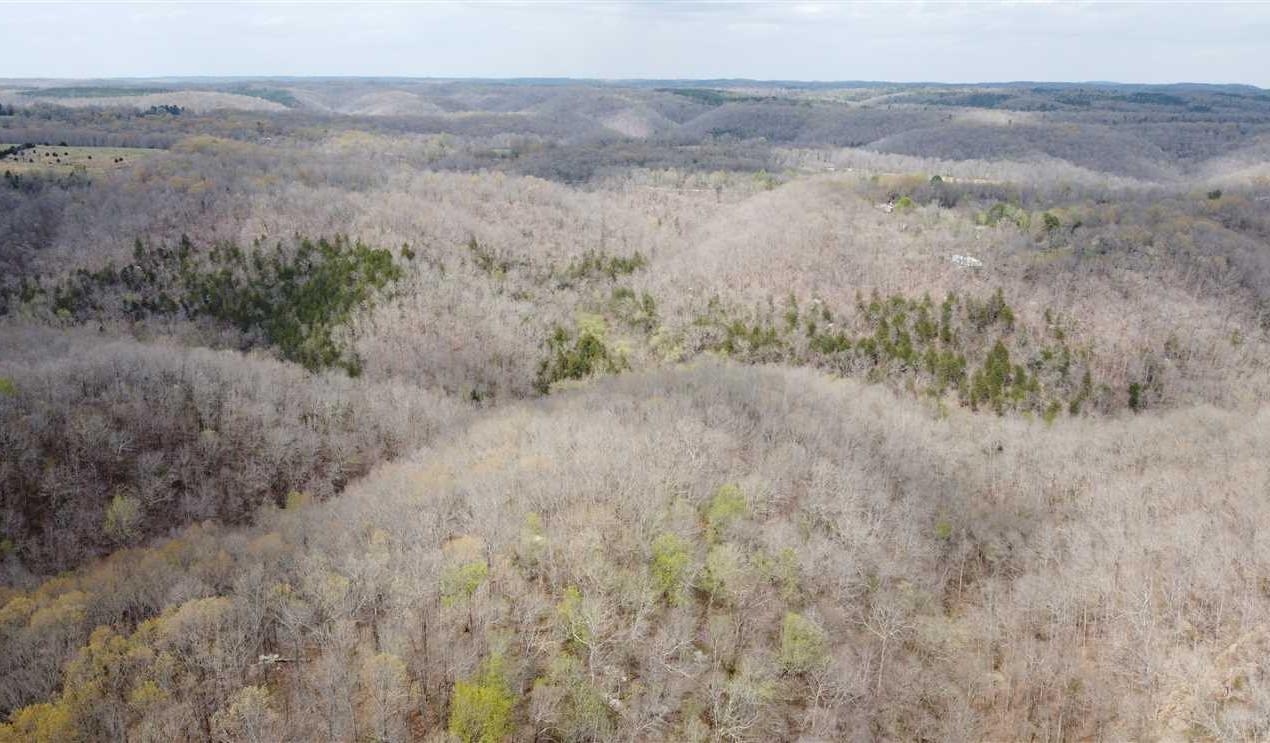 38.88 Acres of Land for Sale in stone County Arkansas