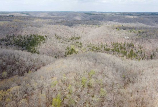 38.88 Acres of Land for Sale in stone County Arkansas