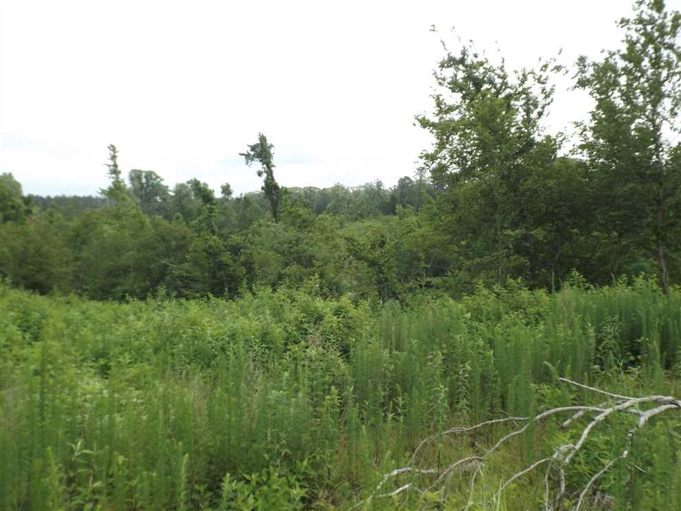 property for sale on The Land Market