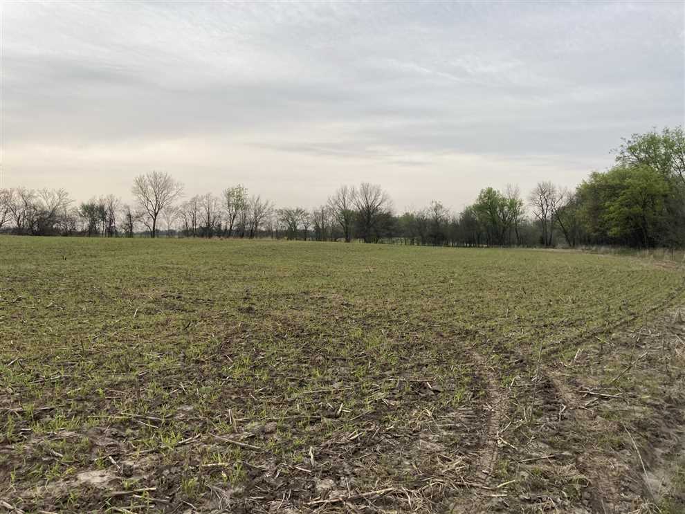 18 Acres of Land for sale in wilson County, Kansas