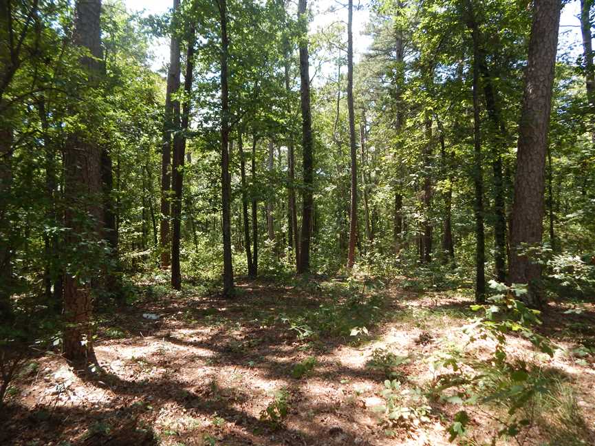 4.53 Acres of Land for sale in cleburne County, Arkansas