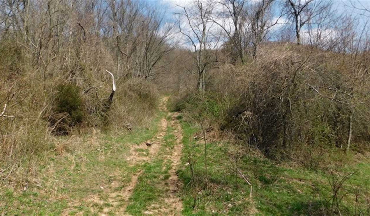 russell County, Virginia property for sale