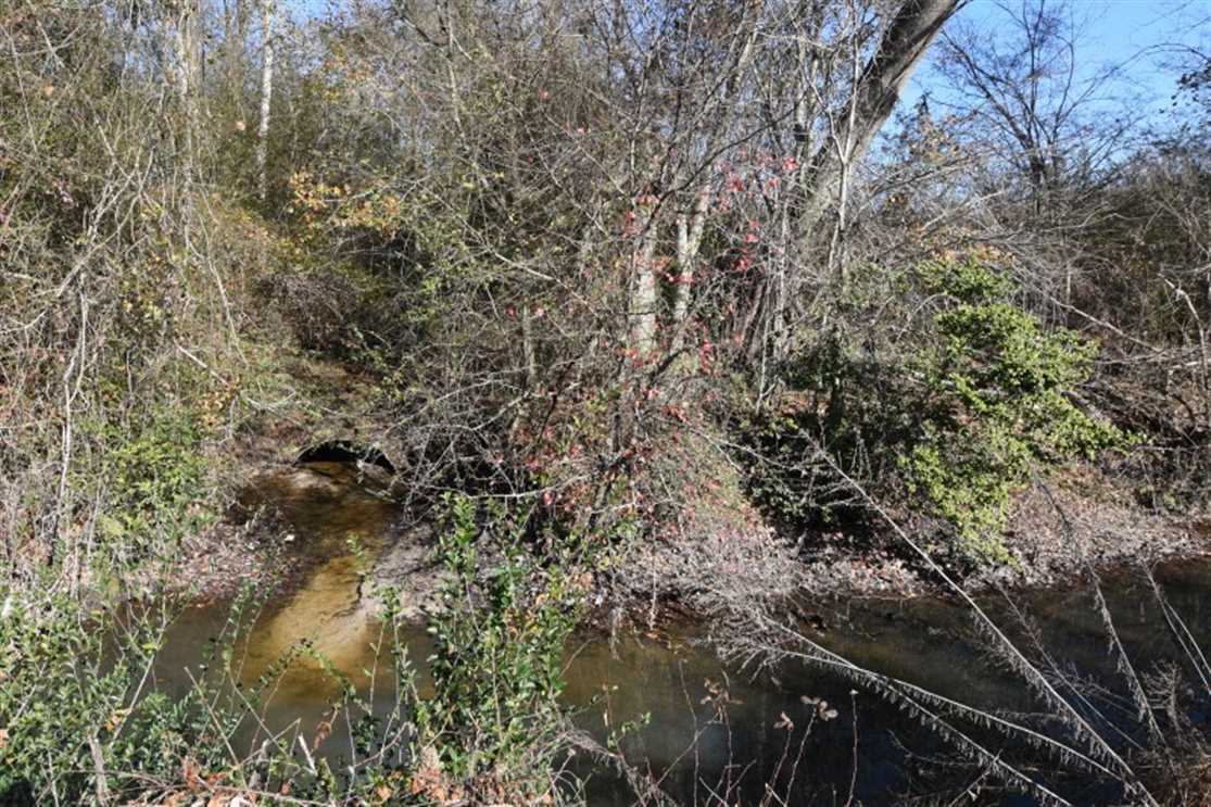 Land for sale at US 264 East