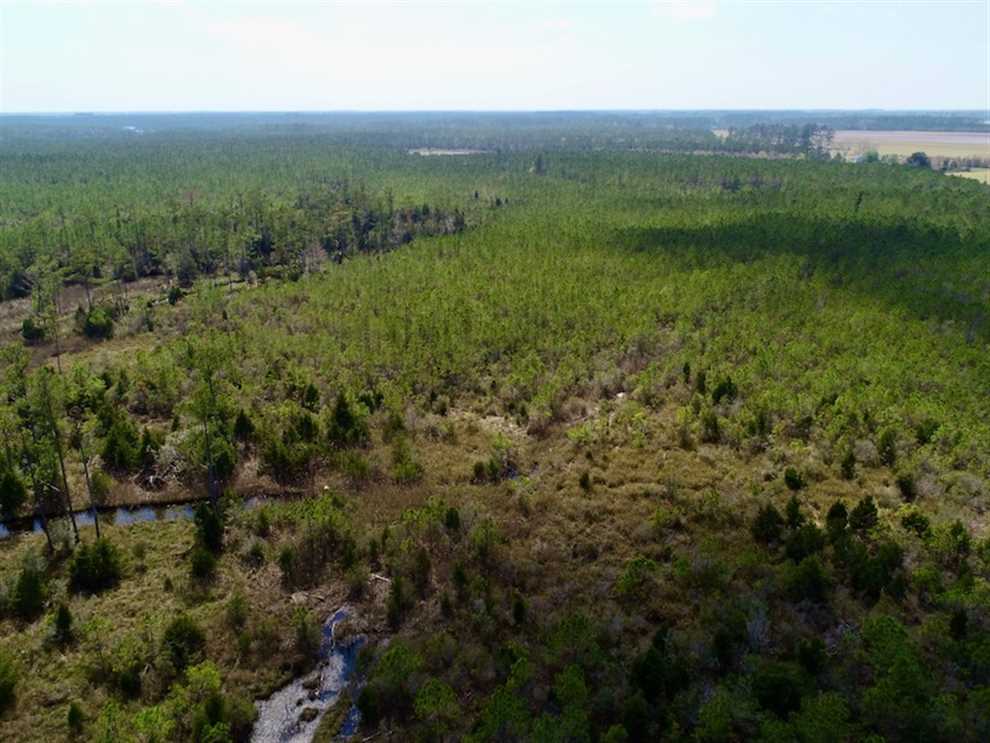 Houses and land for sale in North Carolina