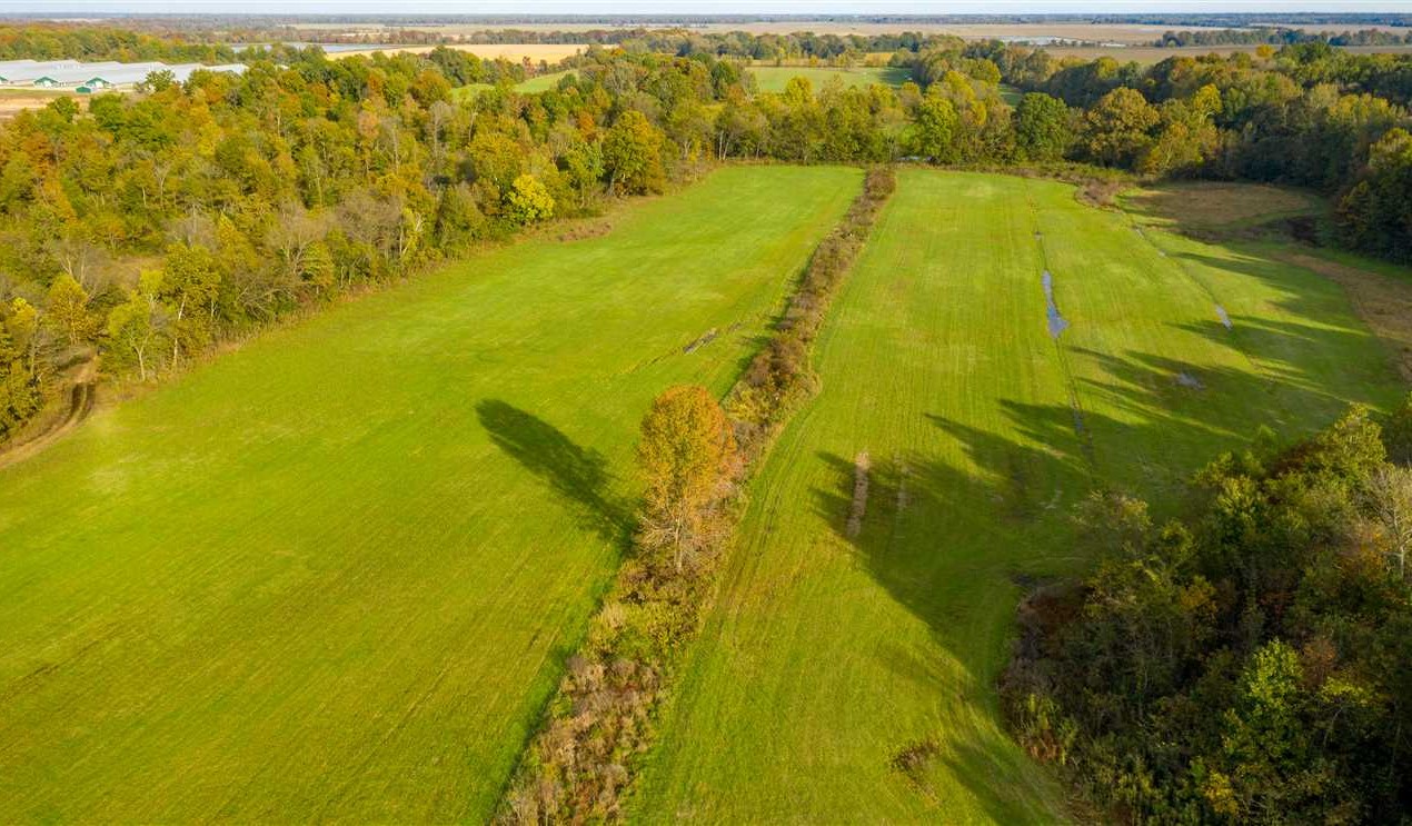 72 Acres of Land for Sale in independence County Arkansas