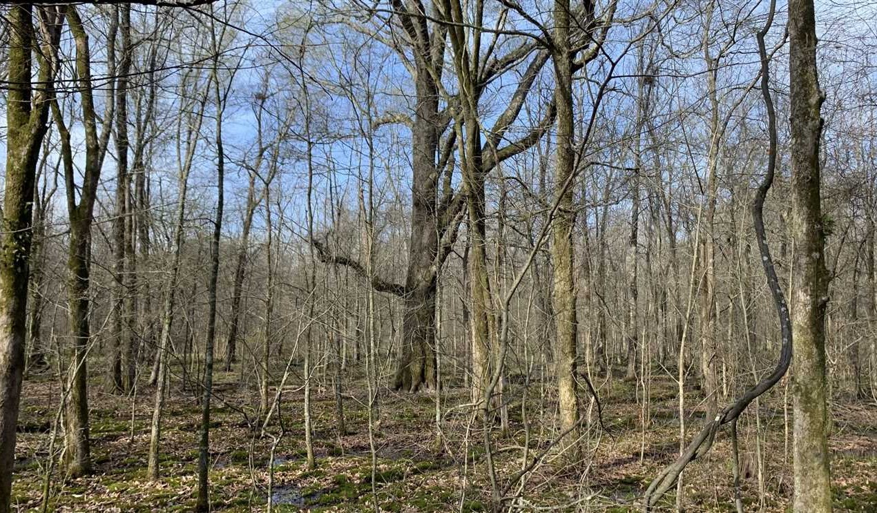 jefferson County, Arkansas property for sale