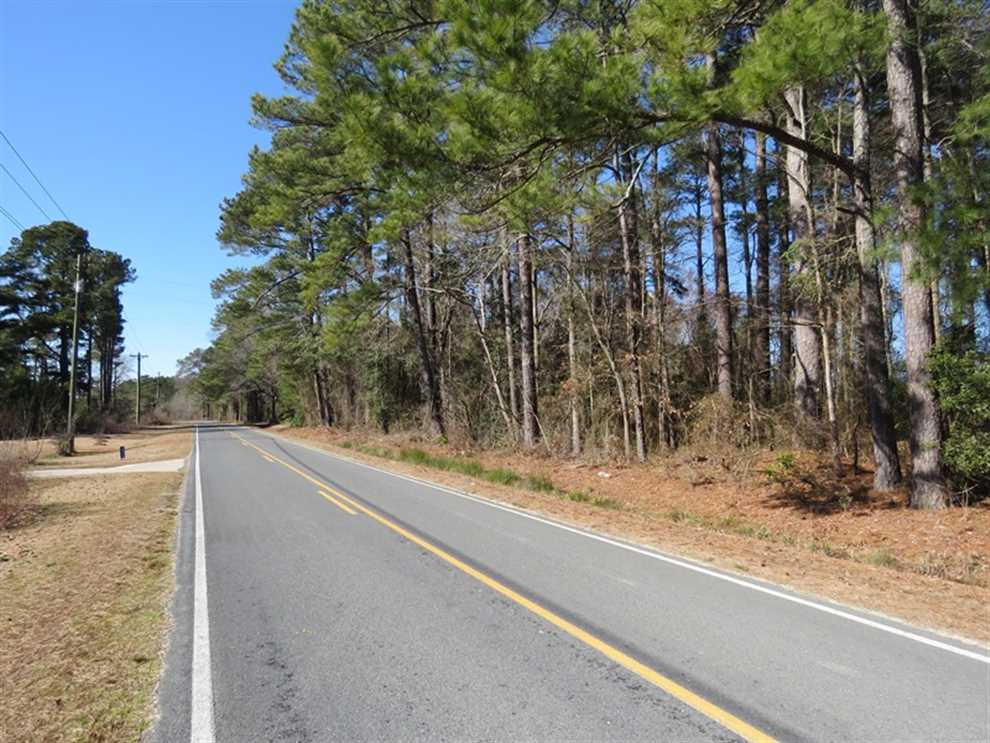 Timberland real estate available to buy