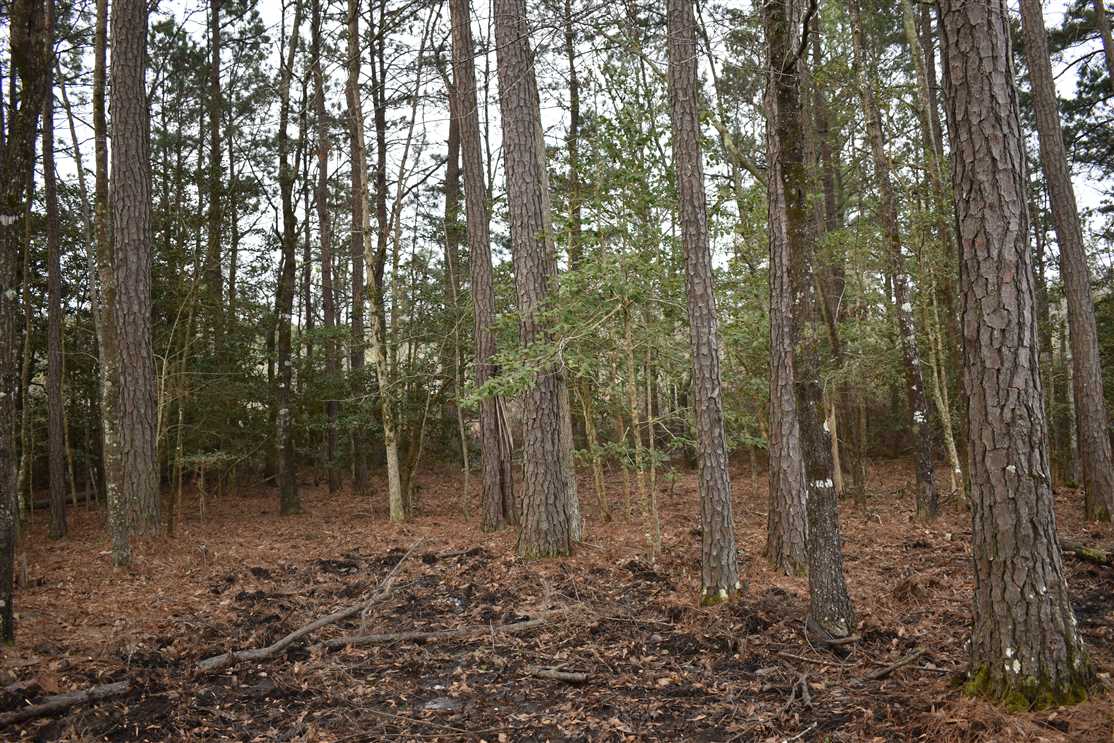 Houses and land for sale in Arkansas
