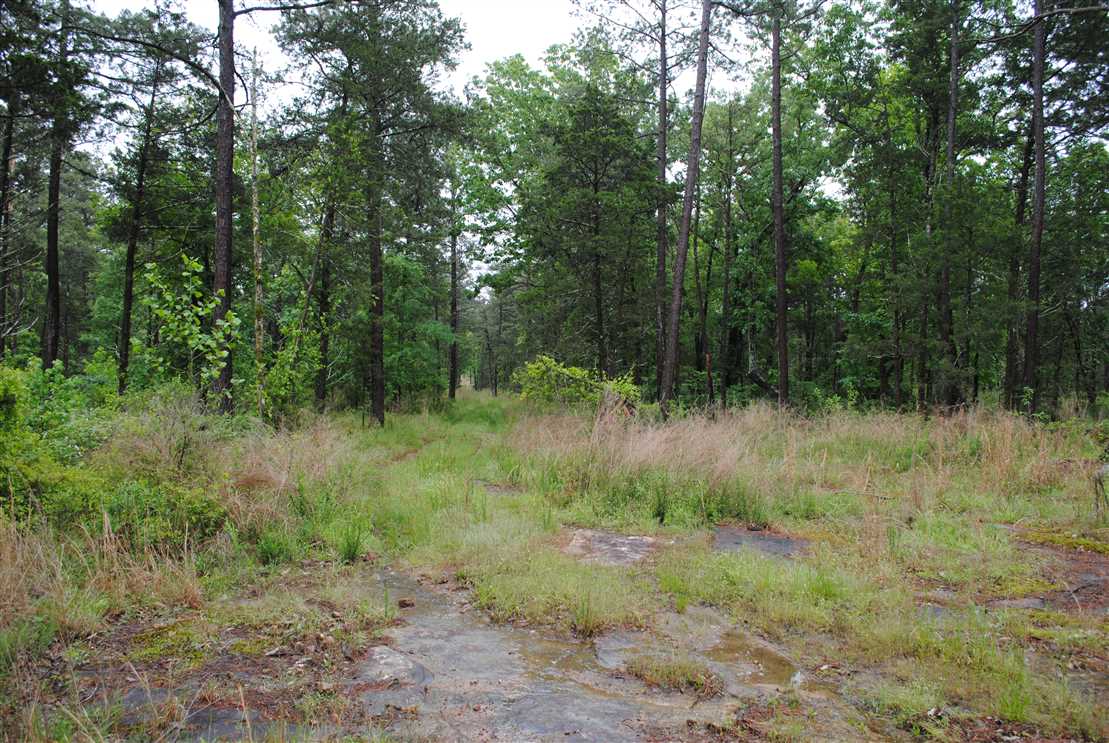 Property for sale at 000 Ward Road