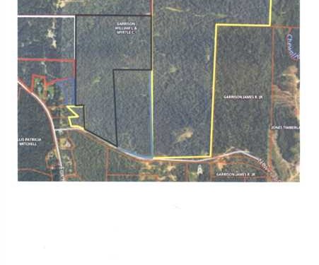 300 Acres of Land for Sale in barbour County Alabama