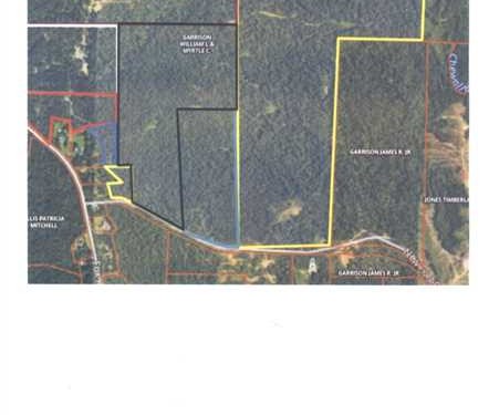 300 Acres of Land for Sale in barbour County Alabama