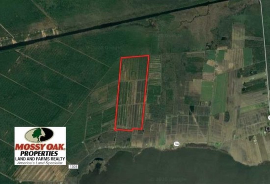 844 Acres of Land for Sale in hyde County North Carolina