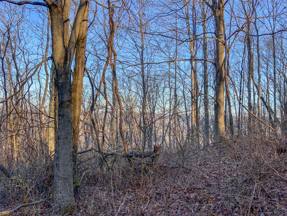 7.63 Acres of Recreational land for sale in CHANDLERSVILLE, muskingum County, Ohio