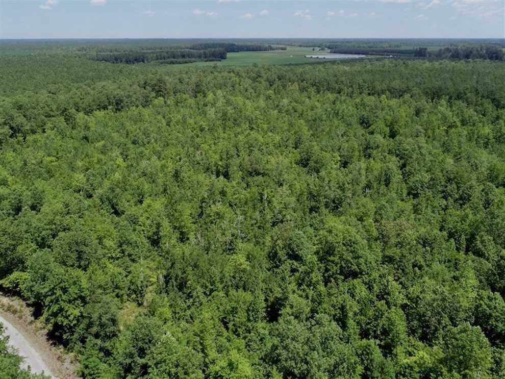 Recreational real estate available to buy