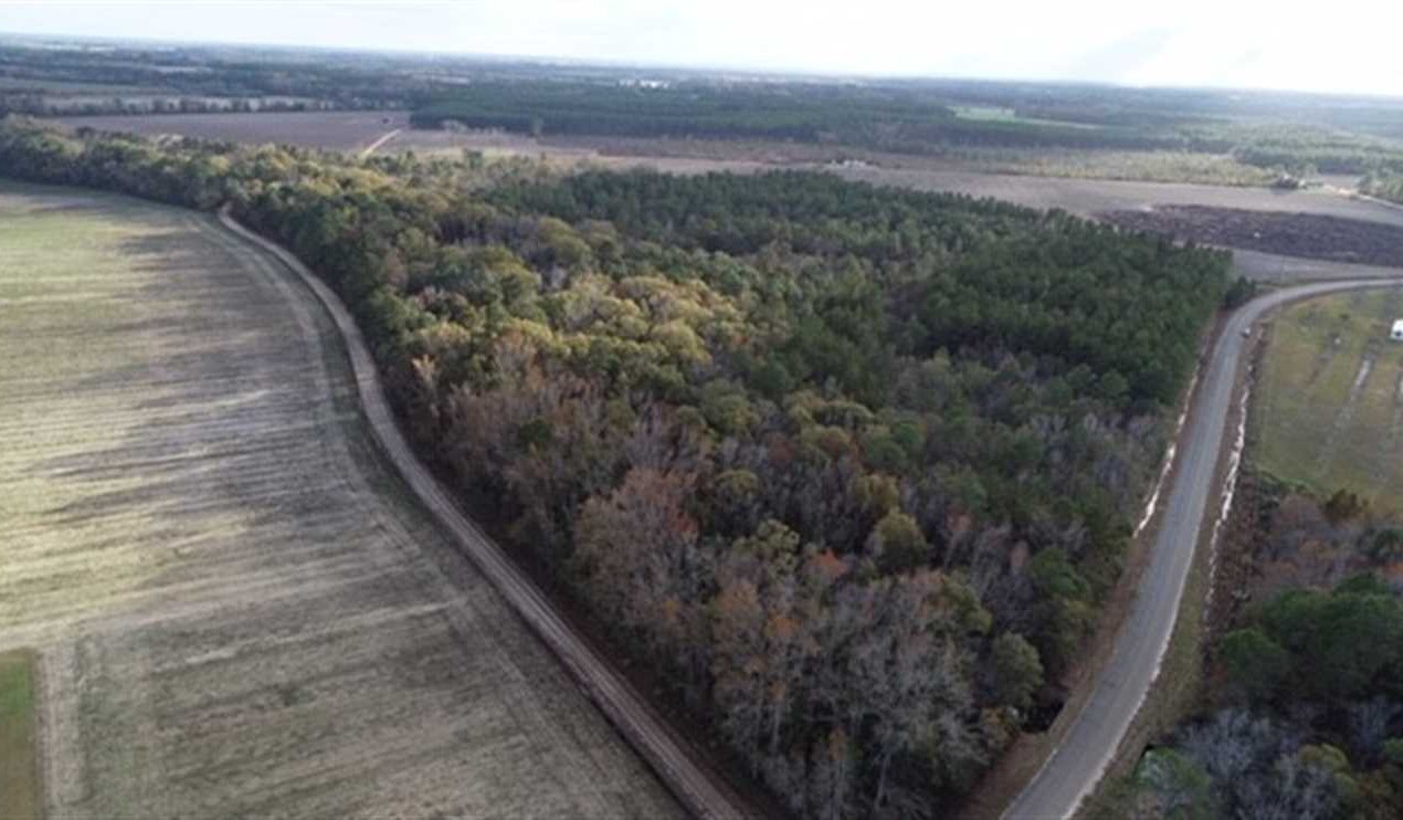 35 Acres of Land for Sale in appling County Georgia
