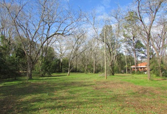 0.71 Acres of Land for Sale in sumter County Georgia