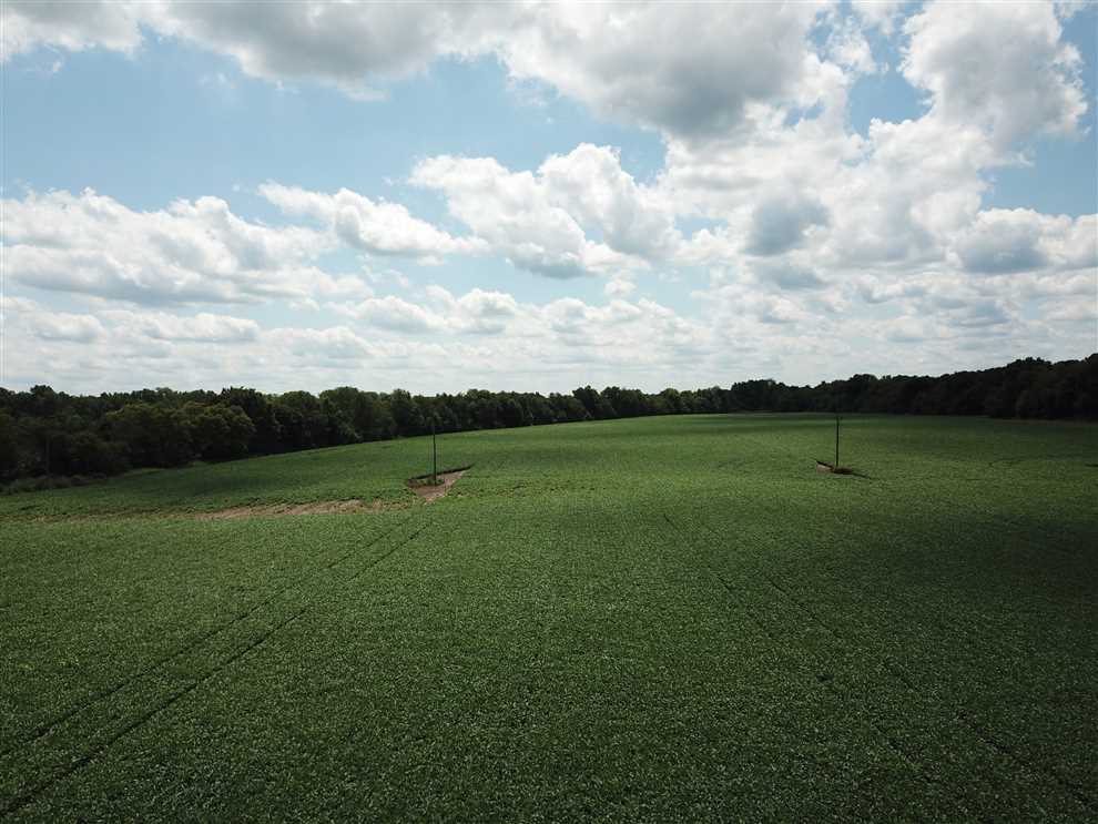 40 Acres Pendleton, IN - Madison, Ave. - Land For Sale Real estate listing