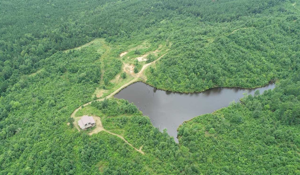 Timberland real estate available to buy