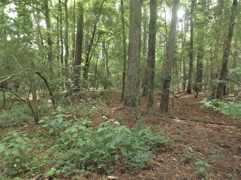 Recreational and   property for sale on The Land Market
