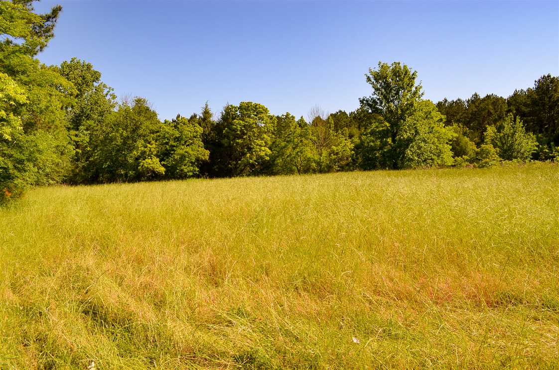 7 Acres of Residential land for sale in Pike Road, montgomery County, Alabama