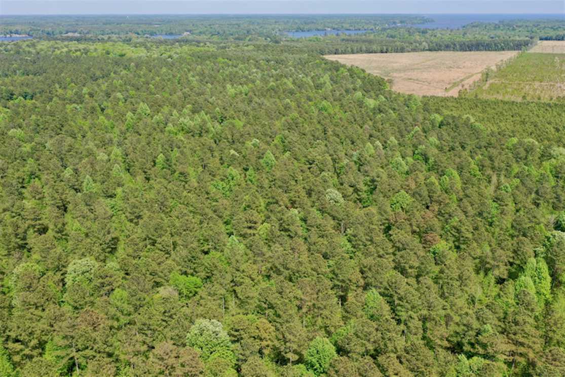 22 Acres of Land for sale in chowan County, North Carolina