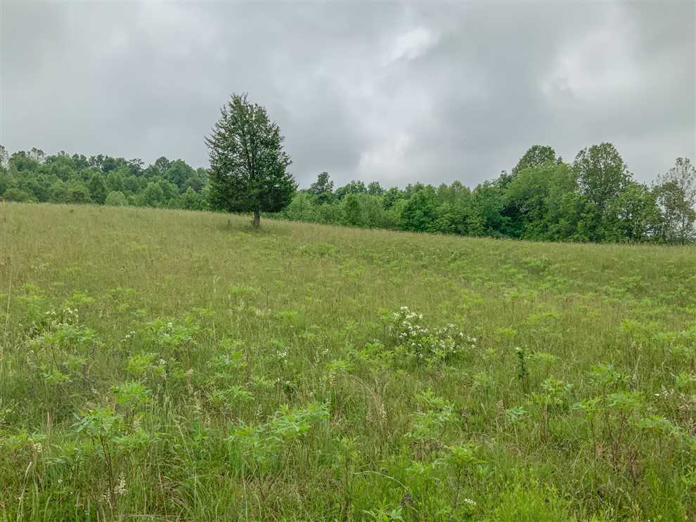 67 Acres of Land for sale in jackson County, Ohio