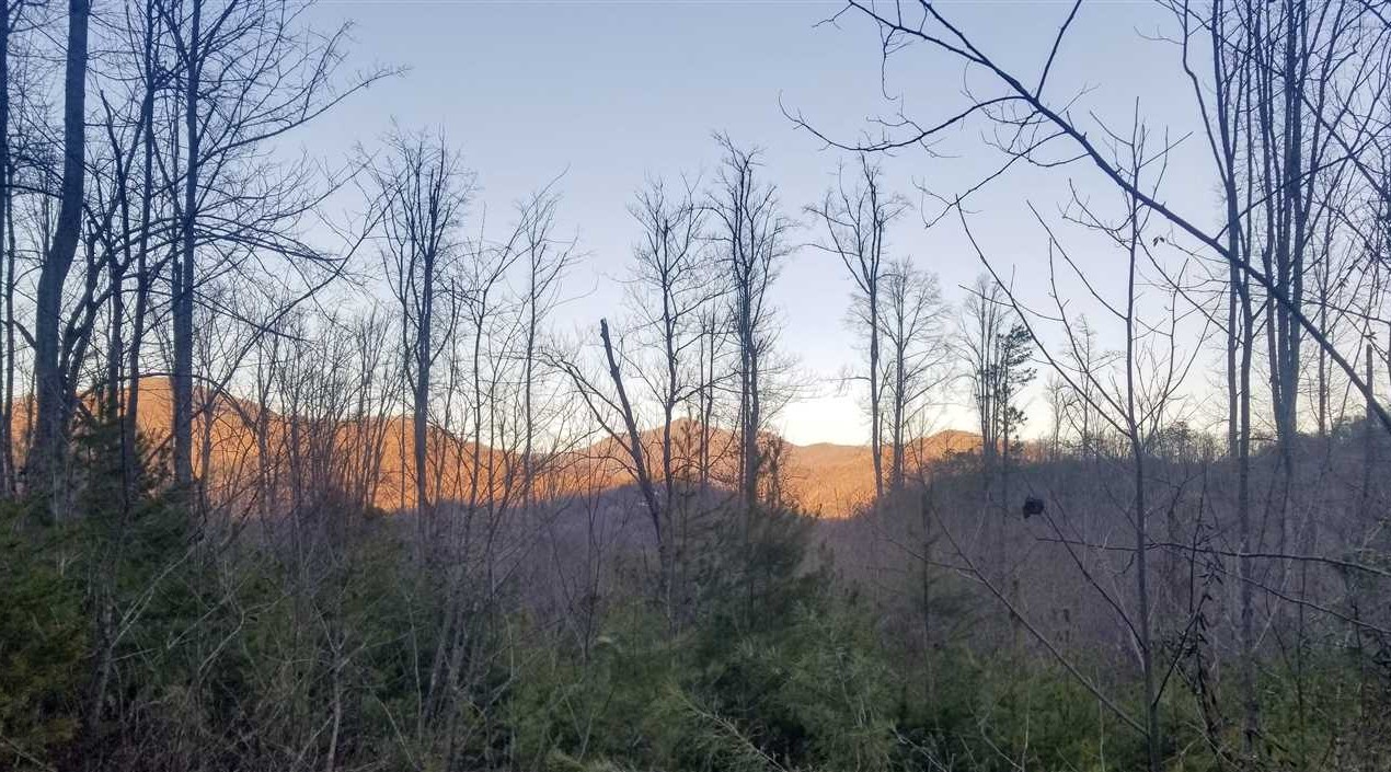Houses and land for sale in North Carolina